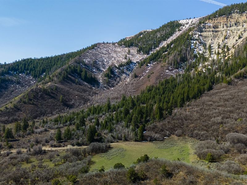 Government Creek Ranch : Rifle : Garfield County : Colorado