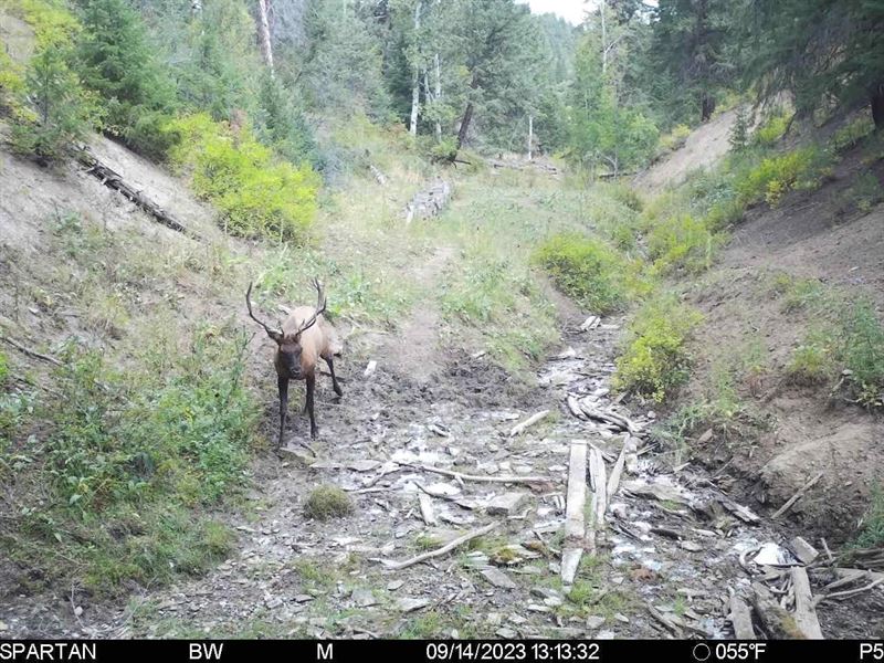 Timber Valley Ranch : Rifle : Garfield County : Colorado