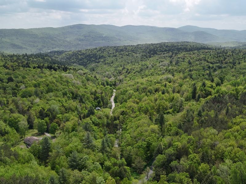 Chase Mountain Forest : Berlin : Washington County : Vermont