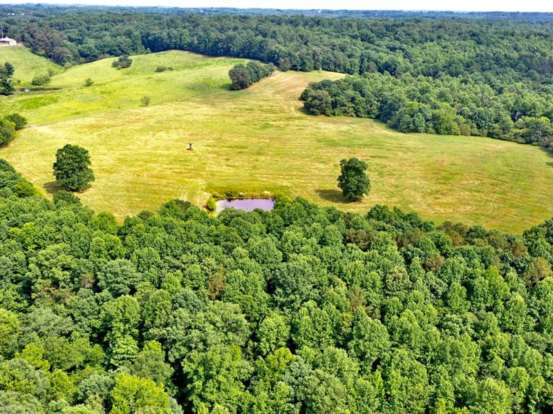 Jones Branch Farm : Arley : Winston County : Alabama