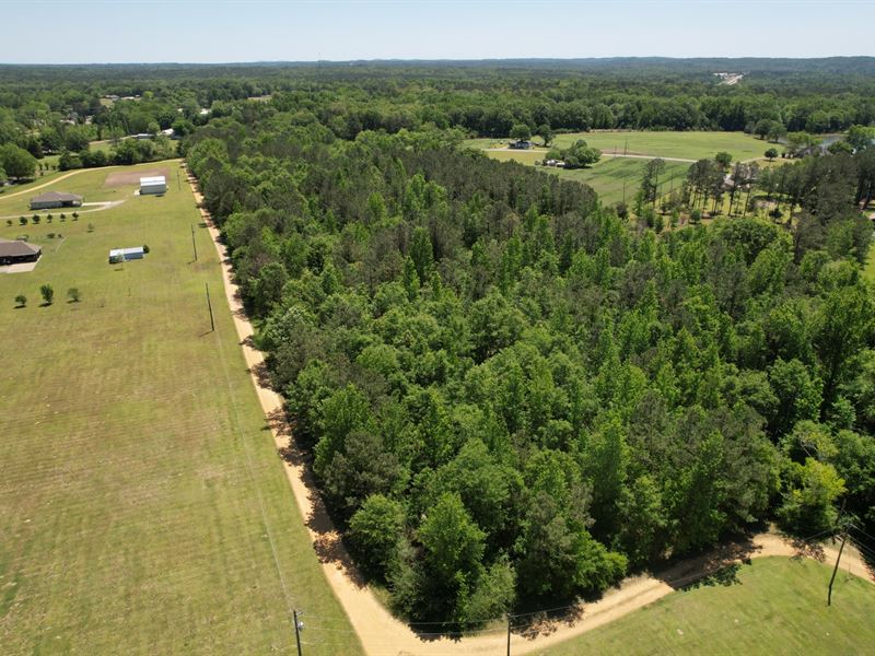 Wallsboro 8 Acre Homesite : Wallsboro : Elmore County : Alabama