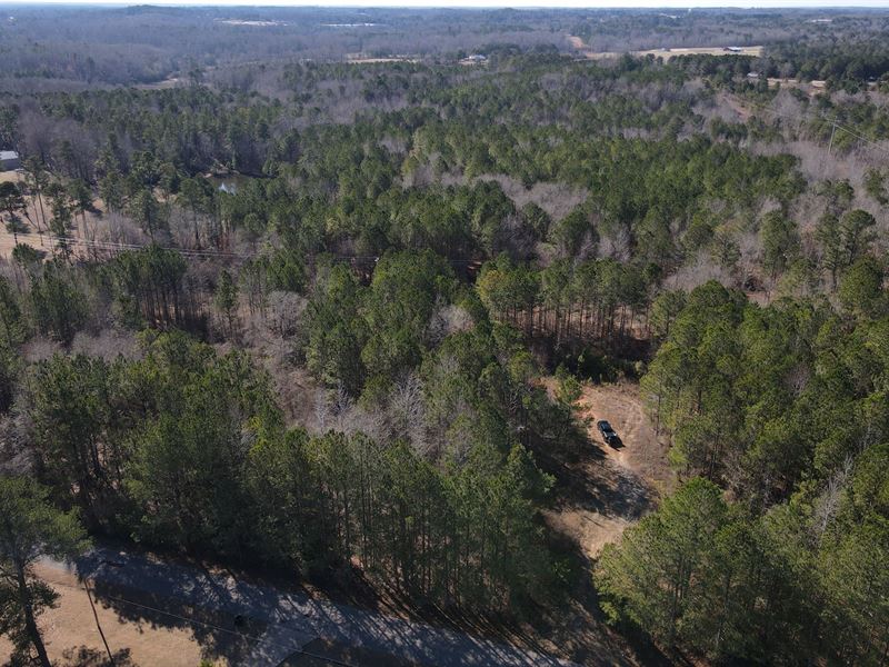 Roanoke Tract 1, 26 Acre : Roanoke : Randolph County : Alabama