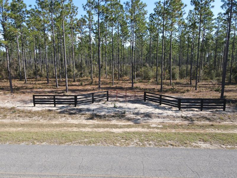 Old Salt Road Mini-Farms : Andalusia : Covington County : Alabama