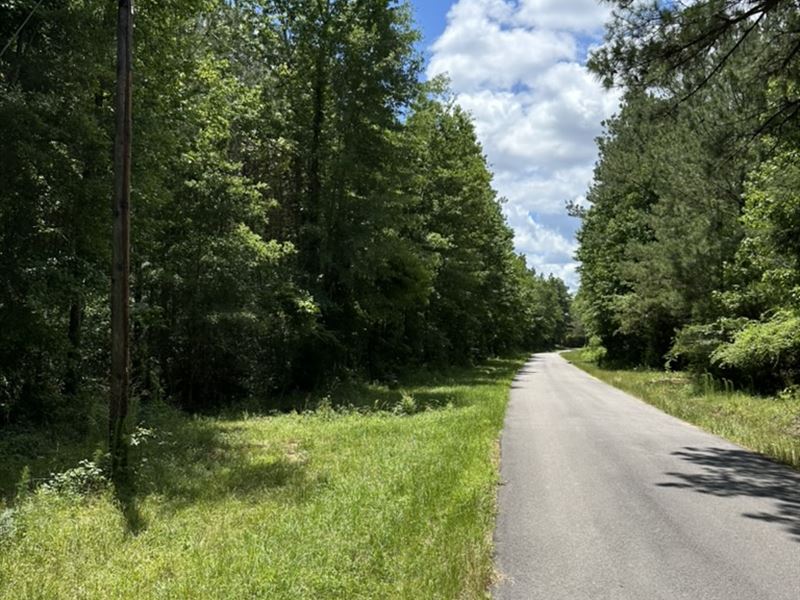 54 Ac E Railroad St ID 102-1 : Castleberry : Conecuh County : Alabama