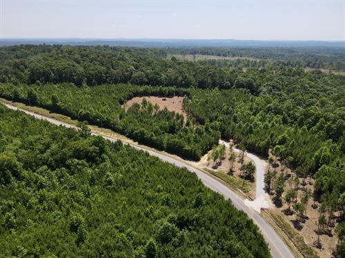 Land For Sale In Clay Alabama