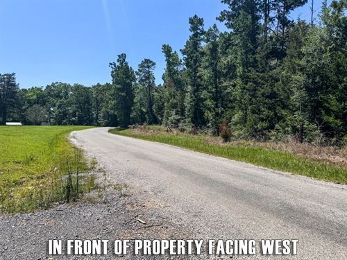 Louisiana Land for Sale : Page 7 of 21 : LANDFLIP