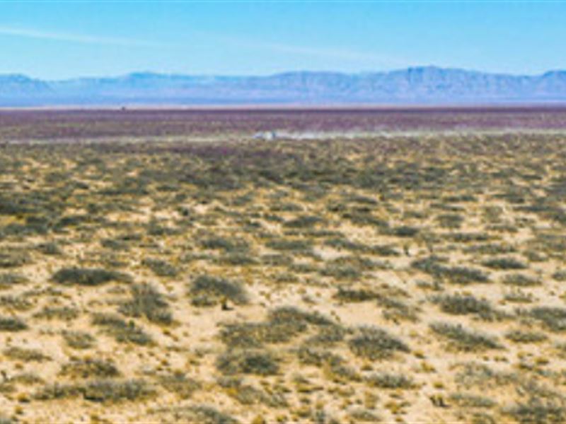 Personal Campground Under Dark Sky : Van Horn : Culberson County : Texas