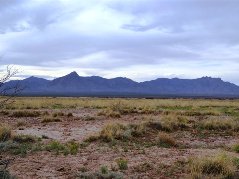 2.82 Acre in Luna County, NM : Deming : Luna County : New Mexico