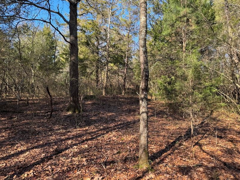 27 Acres, Franklin County, GA : Carnesville : Franklin County : Georgia