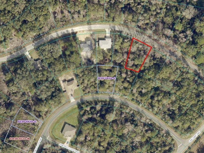 Nice Quarter Acre Lot in Florida : Ocala : Marion County : Florida