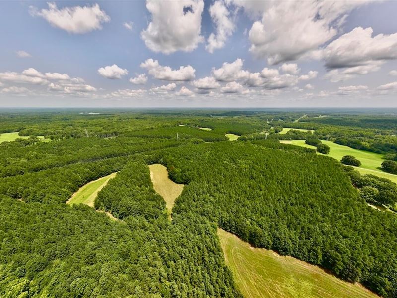 Updated, 35.42 Acres of Investmen : Roxboro : Person County : North Carolina