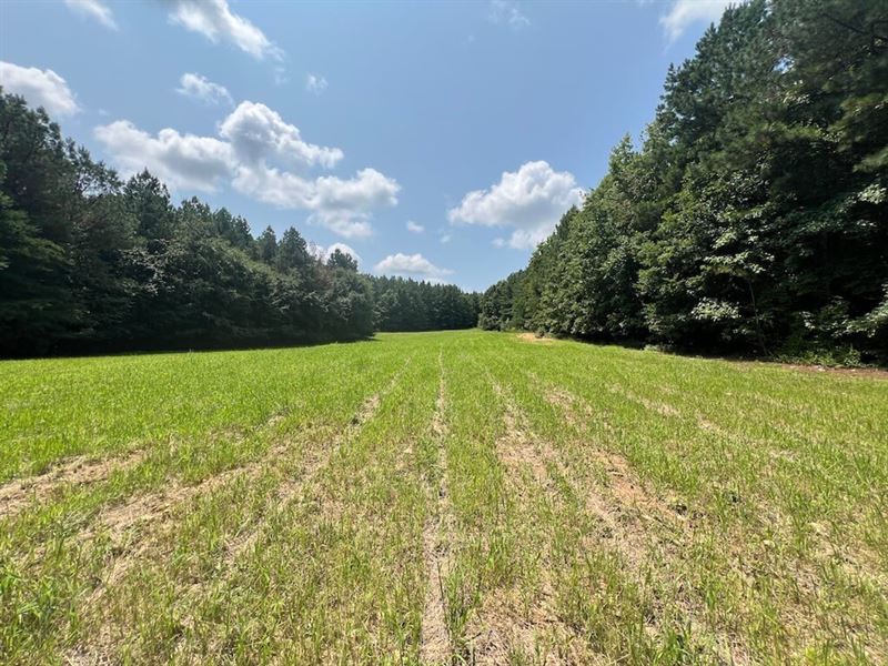 Updated, 35.42 Acres of Investmen : Roxboro : Person County : North Carolina