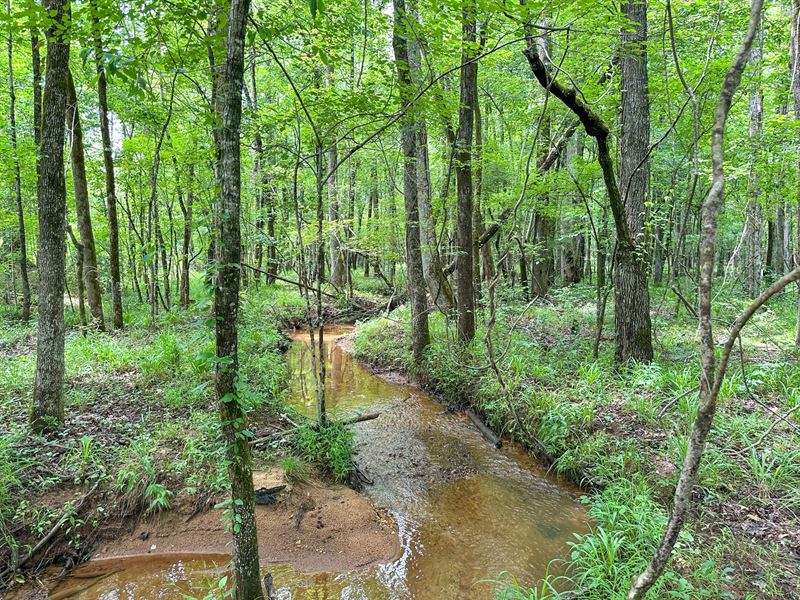 8.54 Acres, Lot 4 Hawks Land : Auburn : Lee County : Alabama