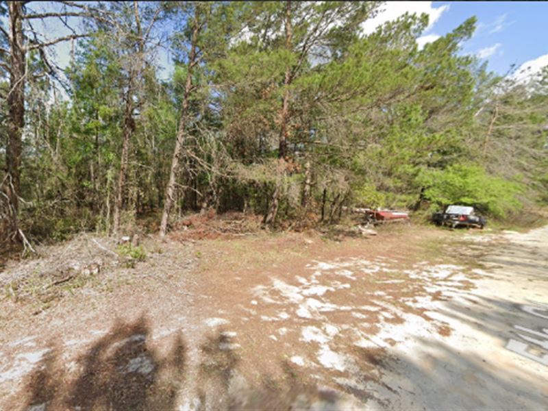 New Year Sale On 146 Se 5th Street : Interlachen : Putnam County : Florida