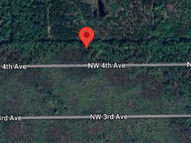 138 NW 4th Ave 1+ Acre in Palatka : Palatka : Putnam County : Florida