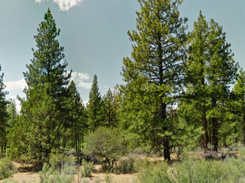 120 Acres of Land : Bonanza : Klamath County : Oregon