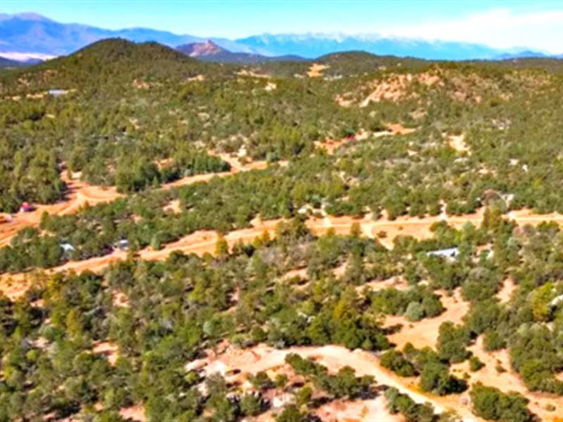 Lot with Trees & Mountain Views : Cotopaxi : Fremont County : Colorado