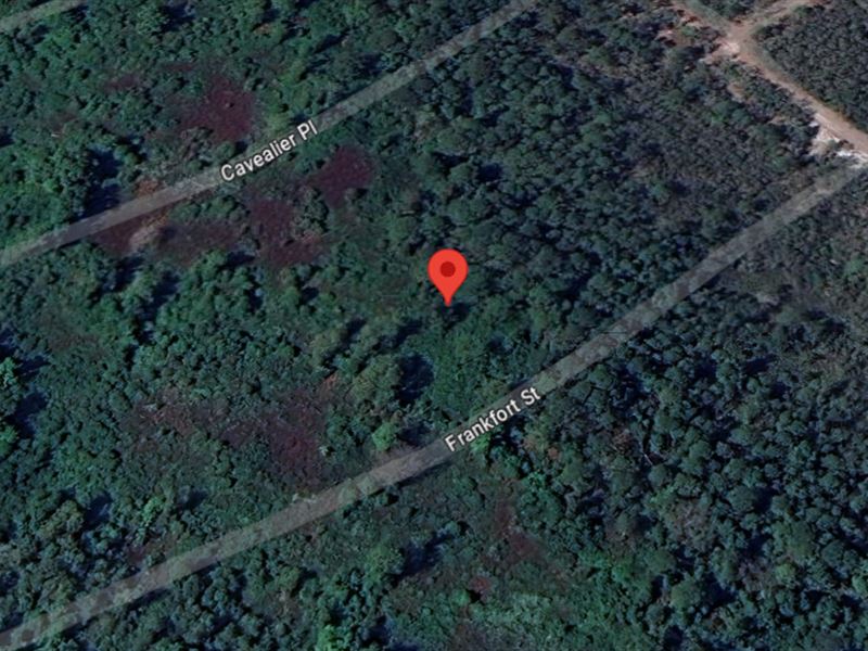 Frankfort St on a Gravel Road : Interlachen : Putnam County : Florida