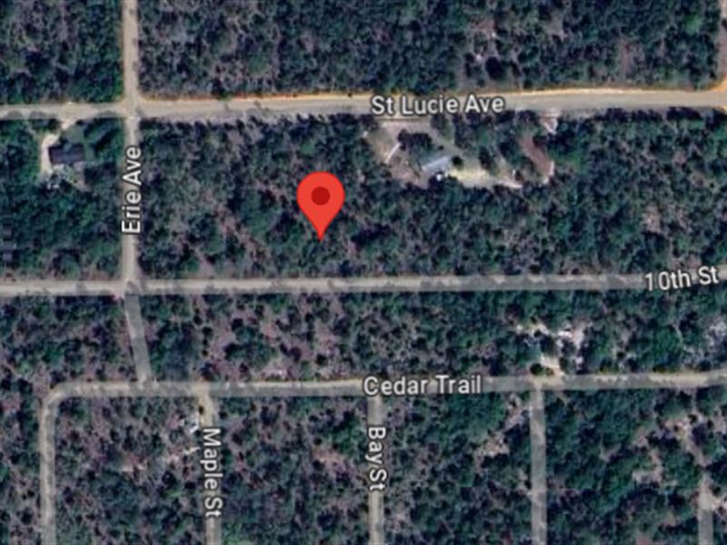 New Year Sale ON SE 10th St Lot : Interlachen : Putnam County : Florida