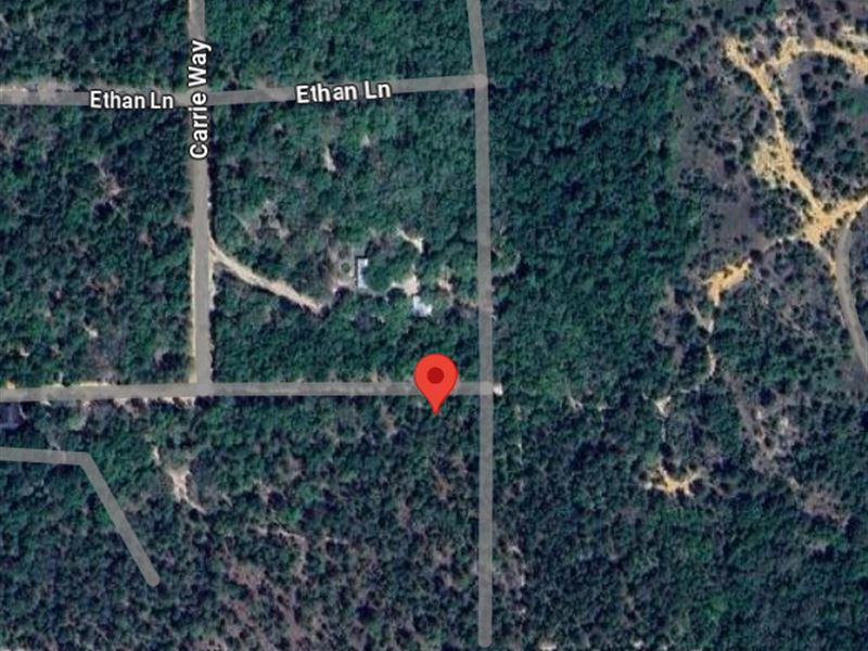 Carrie Way Lot On A Gravel Road : Interlachen : Putnam County : Florida