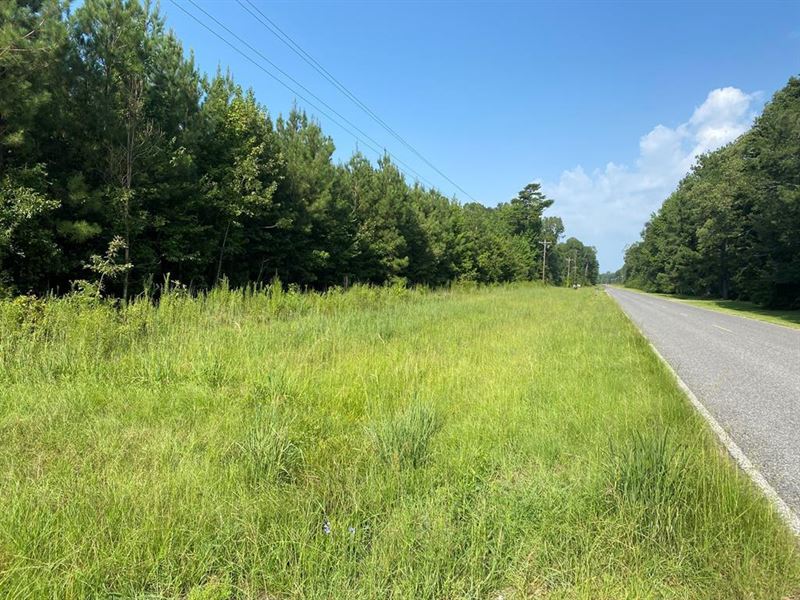 Beautiful Property with Pond : Hazlehurst : Copiah County : Mississippi