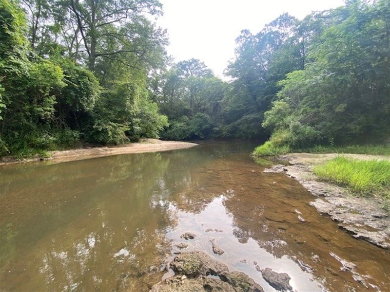 142 Acres On Magee's Creek : Tylertown : Walthall County : Mississippi