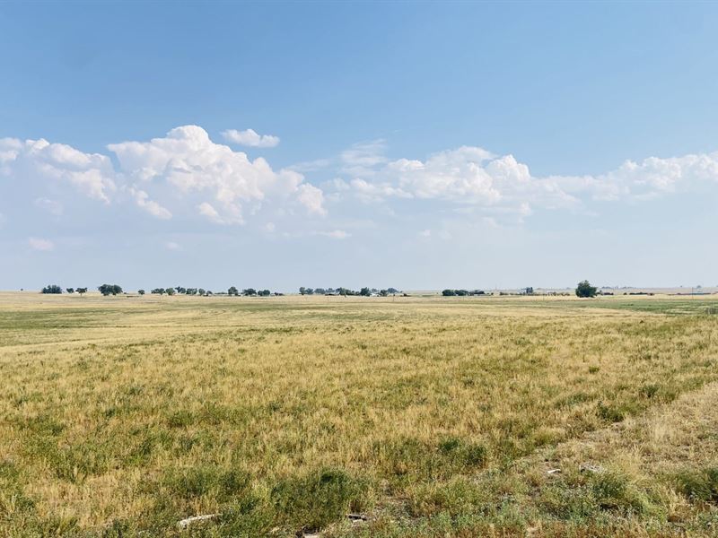 Platteville Farms 40 Acre Tracts : Platteville : Weld County : Colorado