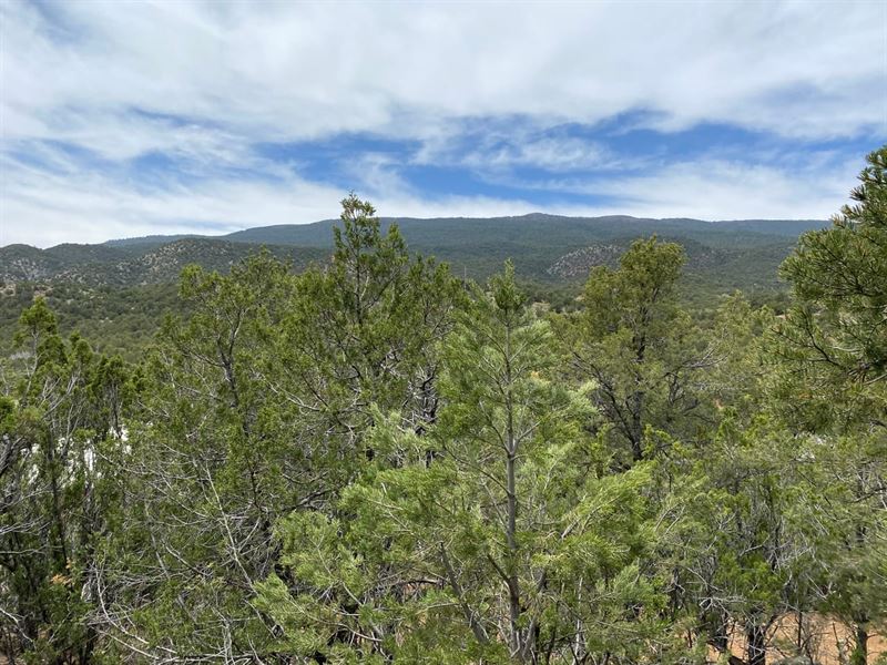 5.23 Acres in Cedar Crest, New Mexico : Cedar Crest : Bernalillo County : New Mexico