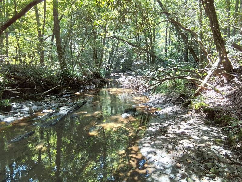 23.59 Ac Creekfront & Unrestrict : Andrews : Cherokee County : North Carolina