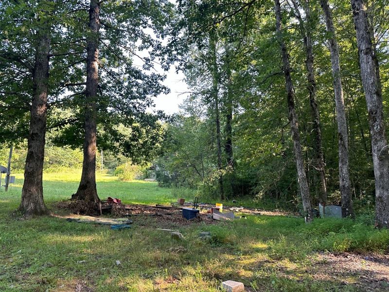 5 Acres Unrestricted Wooded pr : Pikeville : Bledsoe County : Tennessee