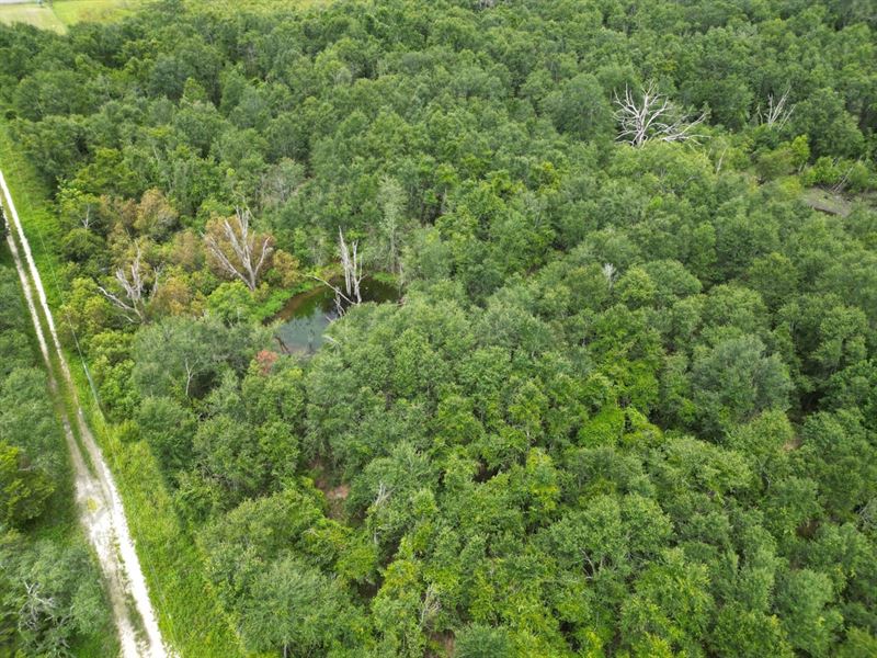 10 Acres Close to I10 : Live Oak : Suwannee County : Florida