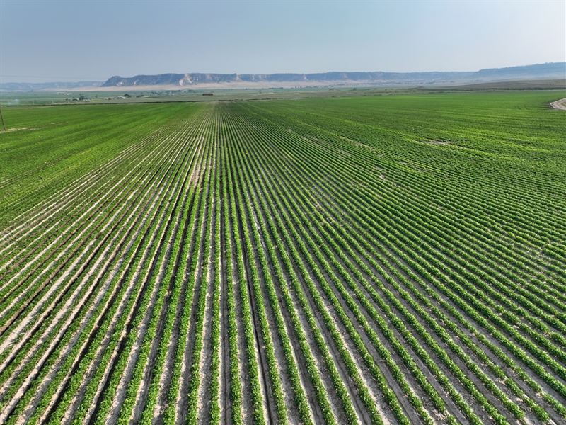 Monument Farm : Scottsbluff : Scotts Bluff County : Nebraska