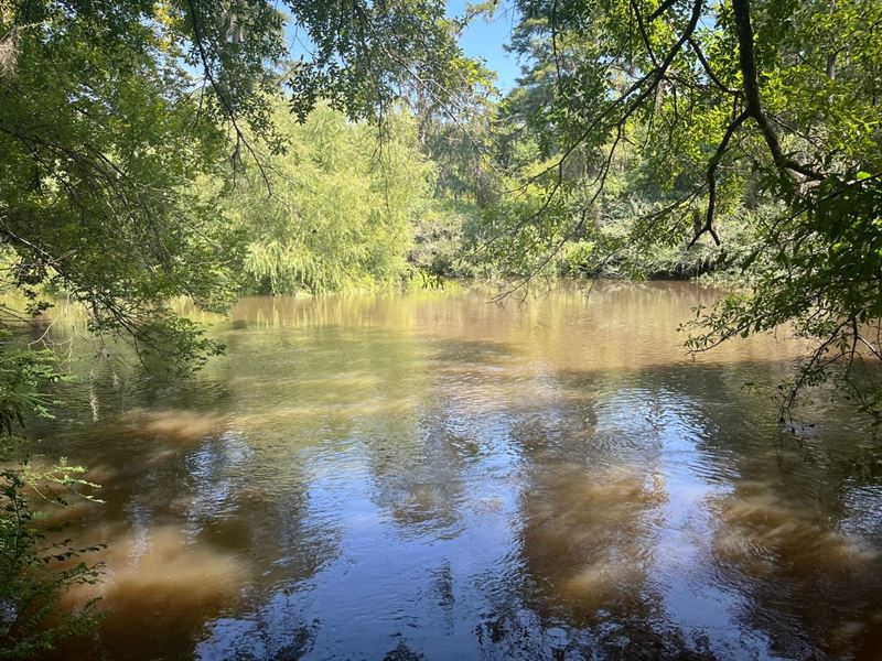 Ogeechee River Timber Tract : Statesboro : Bulloch County : Georgia