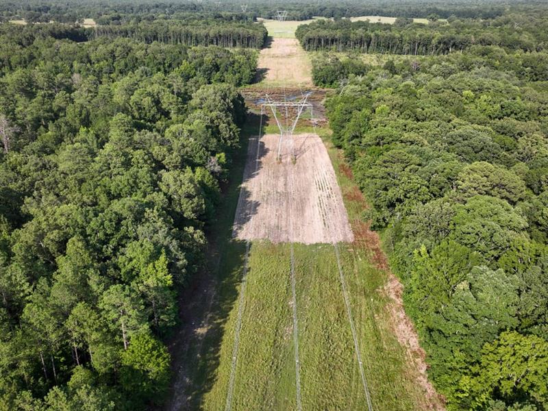 Clay County, 77.5 Acres, Mhoon VA : West Point : Clay County : Mississippi