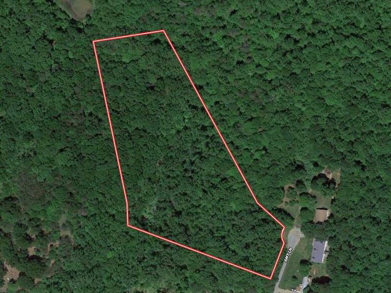 6.61 Acres of Residential or Recrea : Moneta : Bedford County : Virginia