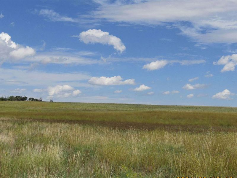 Banner County Crp : Harrisburg : Banner County : Nebraska