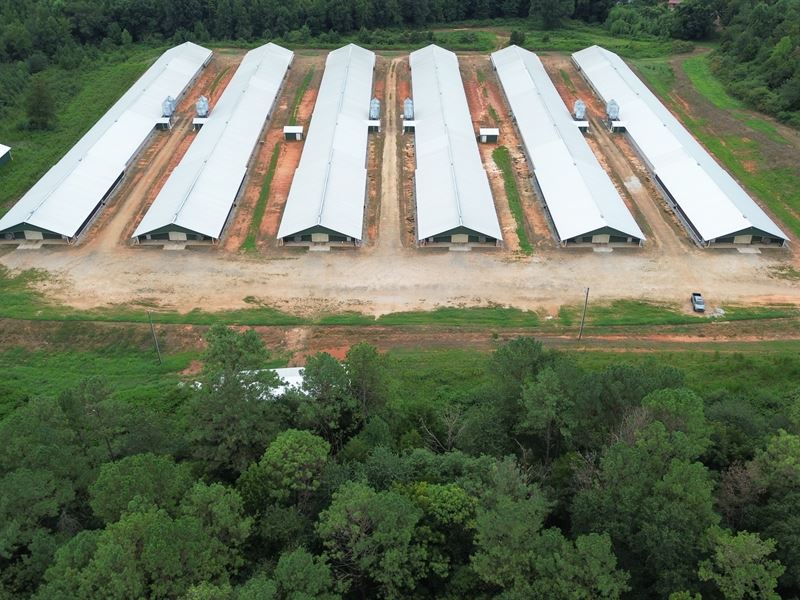 New 6 House Broiler Poultry Farm : Martin : Stephens County : Georgia