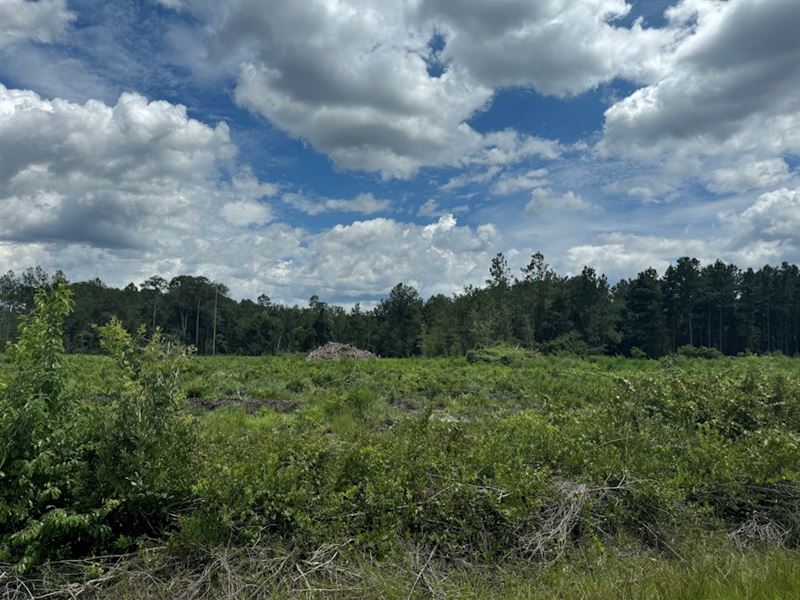 Union Richard Creek North : Lake Butler : Union County : Florida