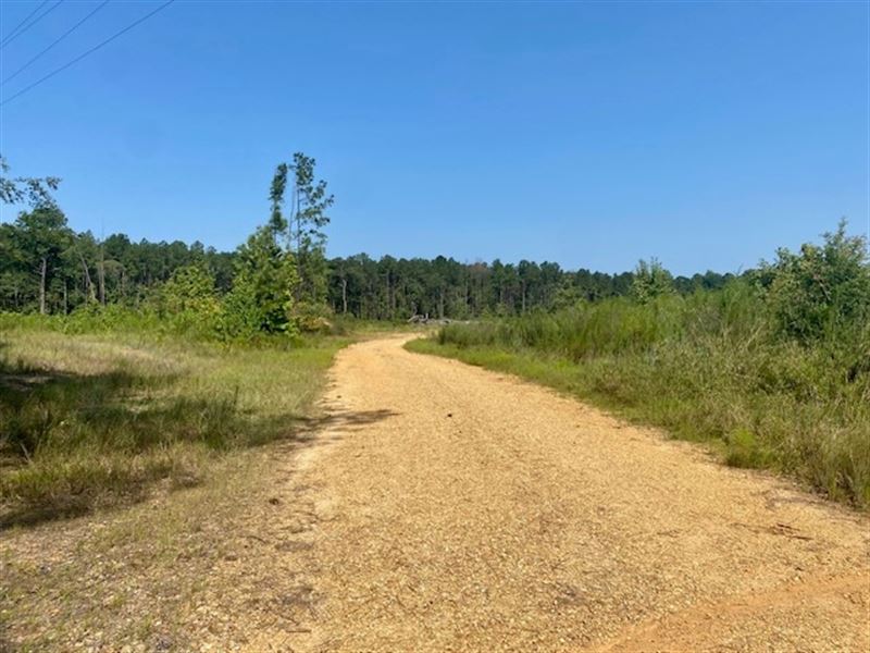 40 Acres Robert Jones Road Ready To : Summit : Pike County : Mississippi