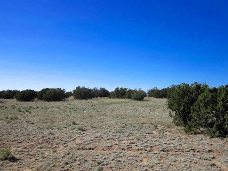 Own Sunshine & Space, $130/Mo : Sanders : Apache County : Arizona