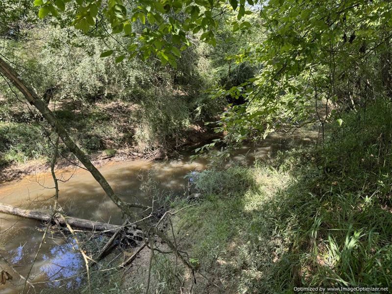 River Frontage Property & Hunting : Brookhaven : Lincoln County : Mississippi