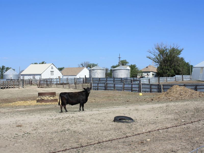 356 Co Rd K Farm & Ranch : Brewster : Thomas County : Kansas