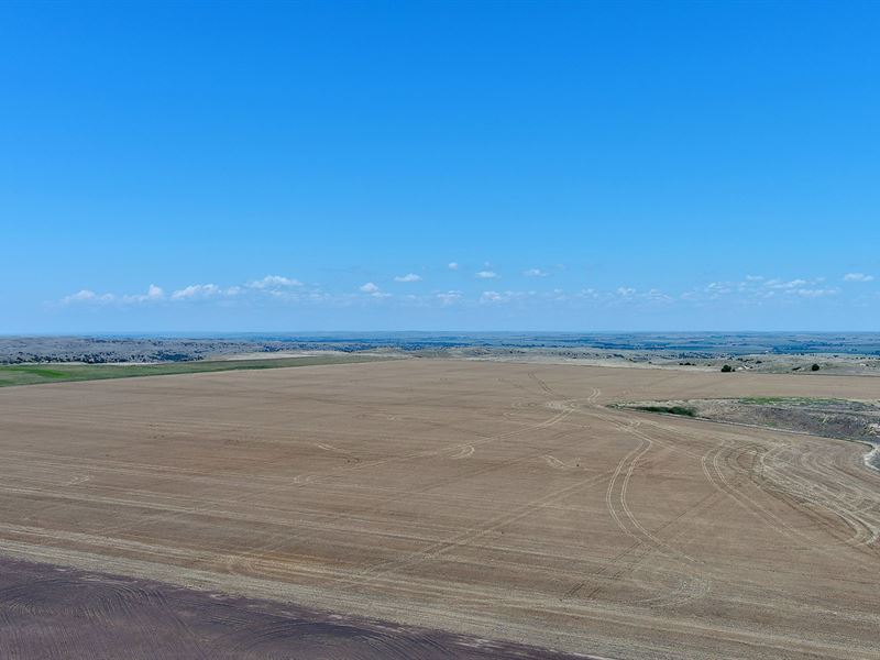 Dehning Dryland Farm : Lewellen : Garden County : Nebraska