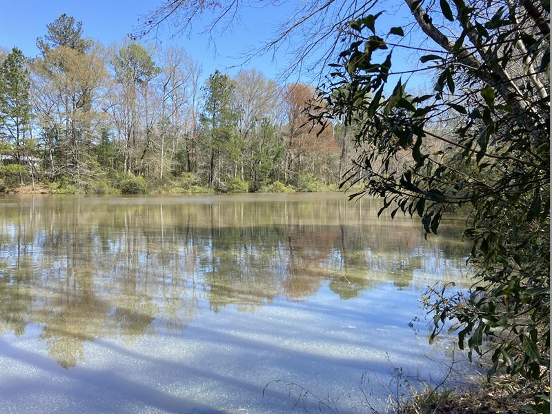 Hobby-Hunting Farm Adrian, Georgia : Adrian : Johnson County : Georgia