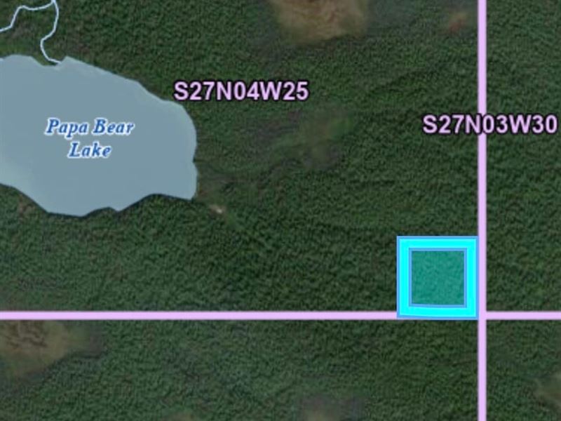 Papa Bear Lake Area Remote : Talkeetna : Matanuska-Susitna Borough : Alaska