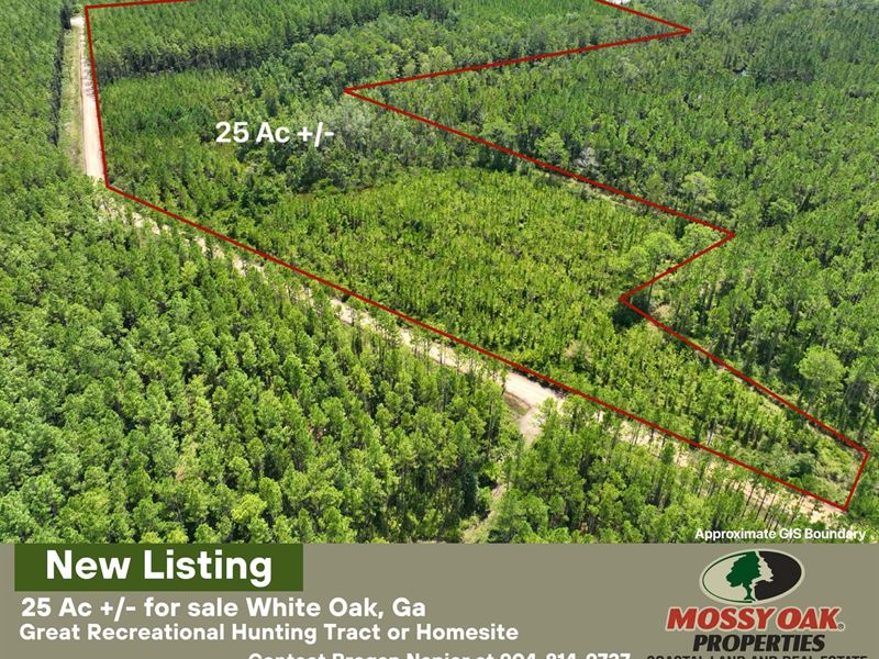 25 Acres Recreational Land : White Oak : Camden County : Georgia