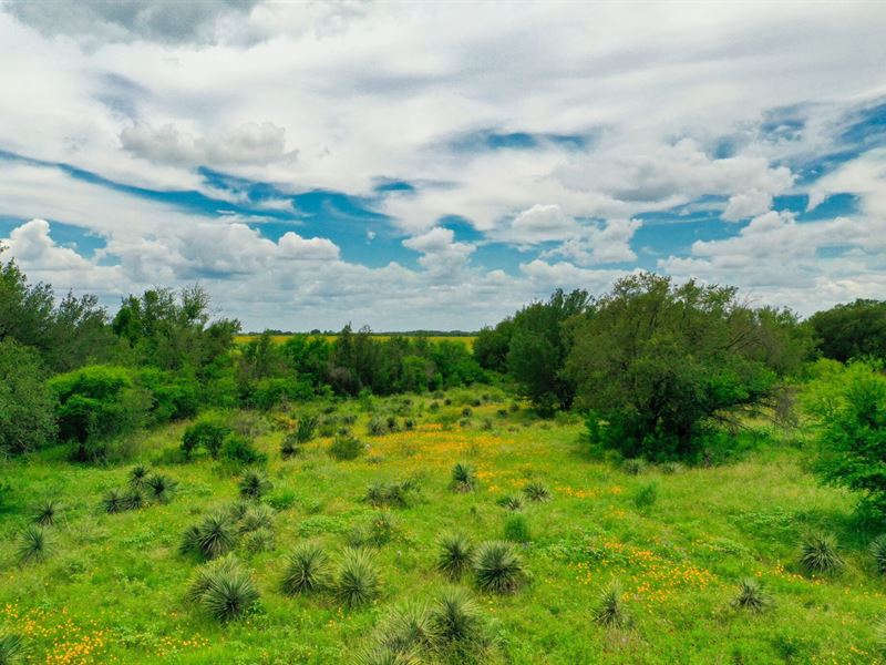 Over 4 Acres for Under $85K : D'hanis : Medina County : Texas