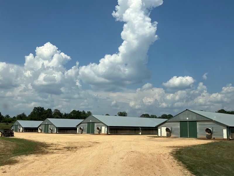 Profitable 6-House Broiler Farm : Collins : Covington County : Mississippi