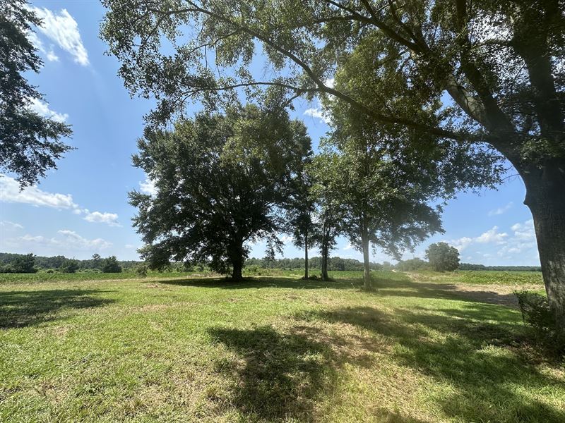 Hall Road Lot 1 : Red Level : Covington County : Alabama