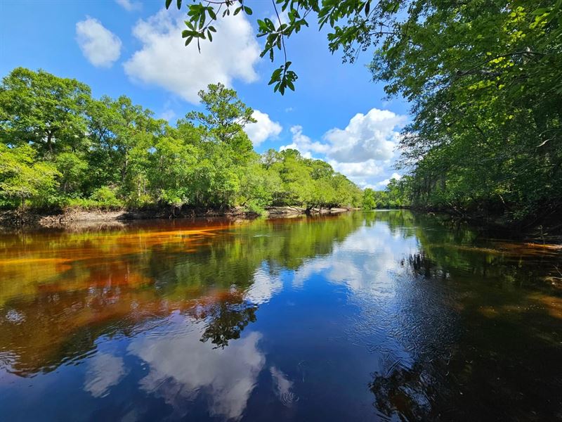 142.69 Ac on Satilla River in Br : Nahunta : Brantley County : Georgia